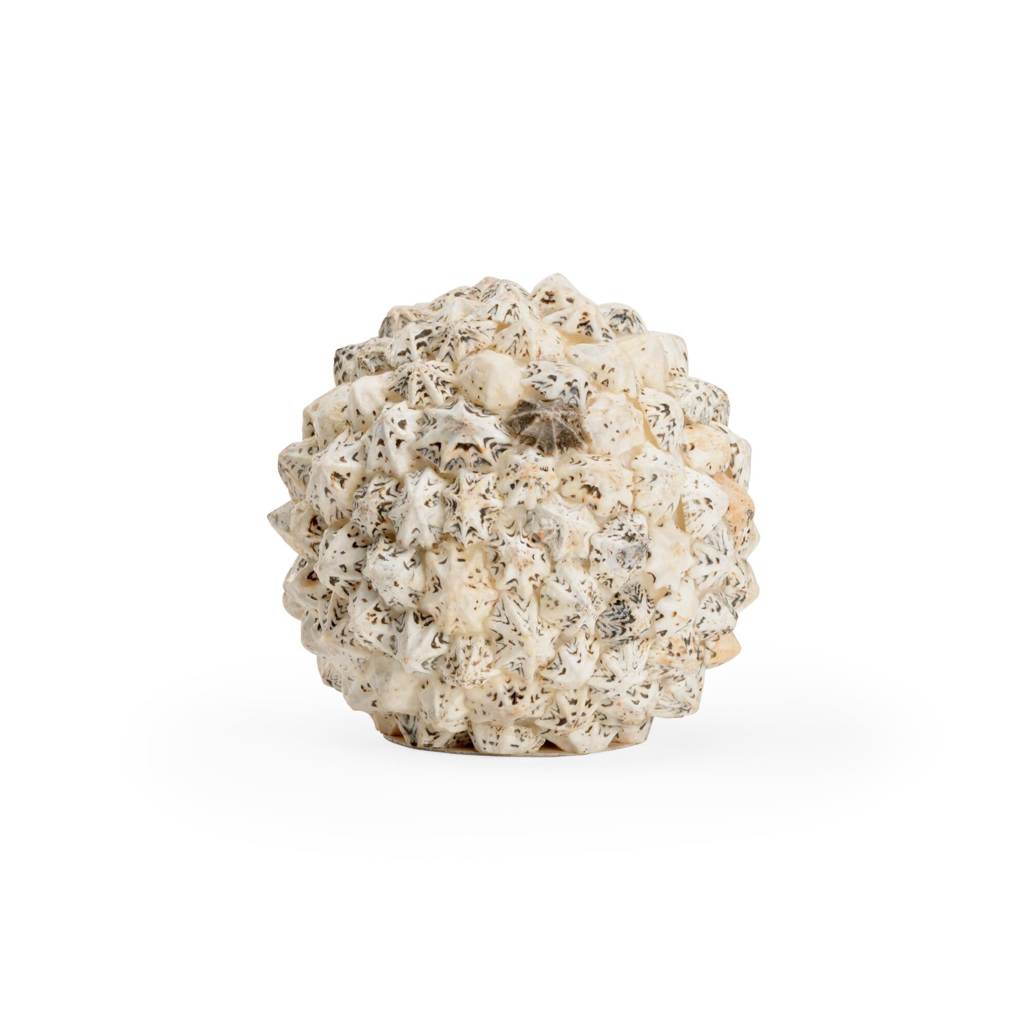 Shell Ball Decorative Sphere by Chelsea House