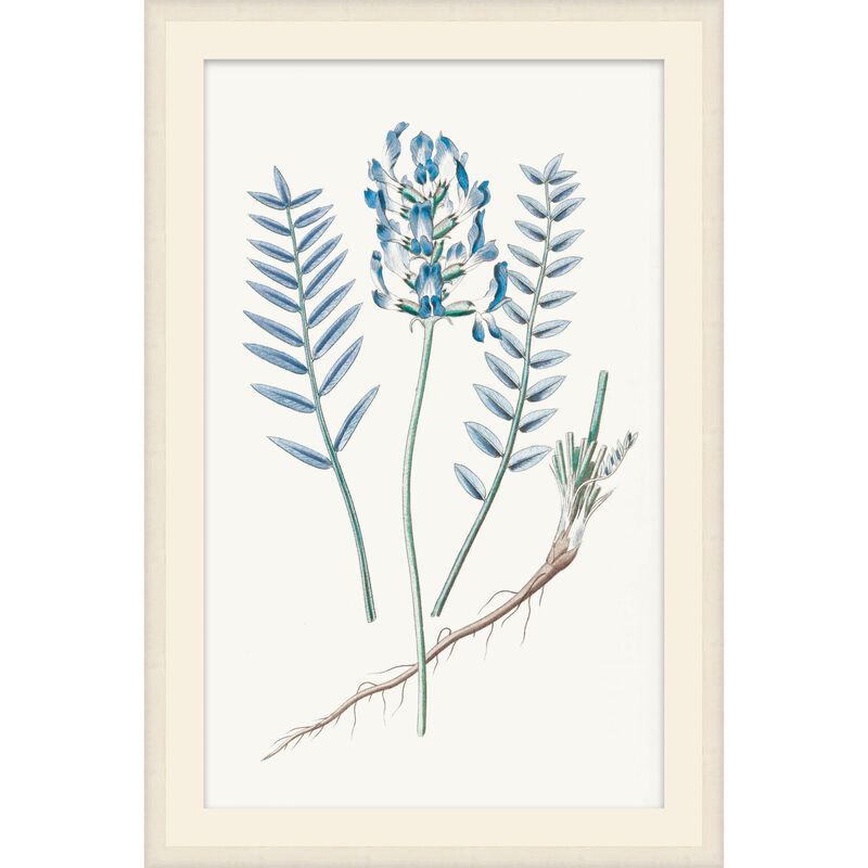 Studio L57 Nouvelle Sapphire Flora Print by LEVEL57