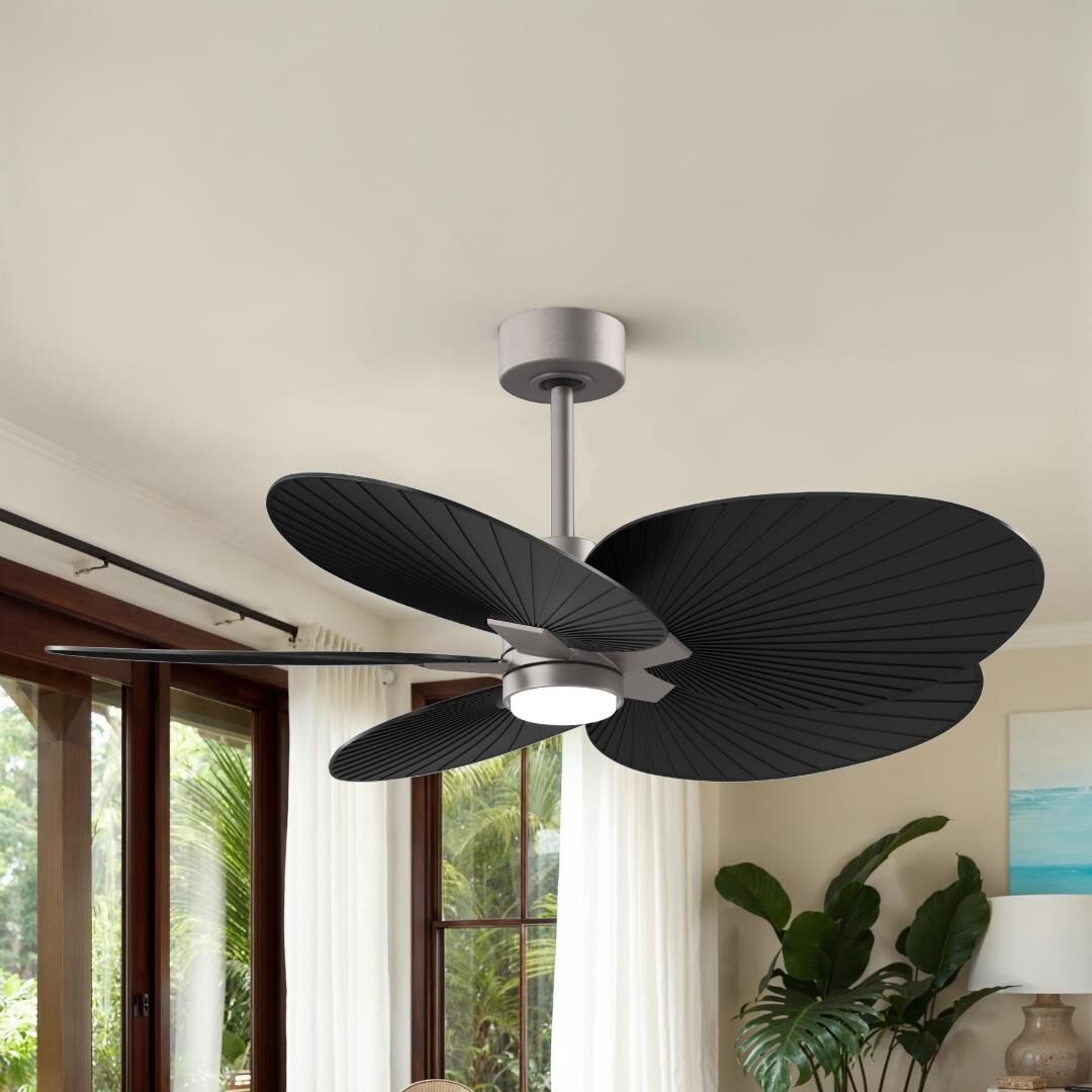 Alessandra Tropical Outdoor Rated 48 Inch Ceiling Fan with Light Kit by Matthews Fan Company
