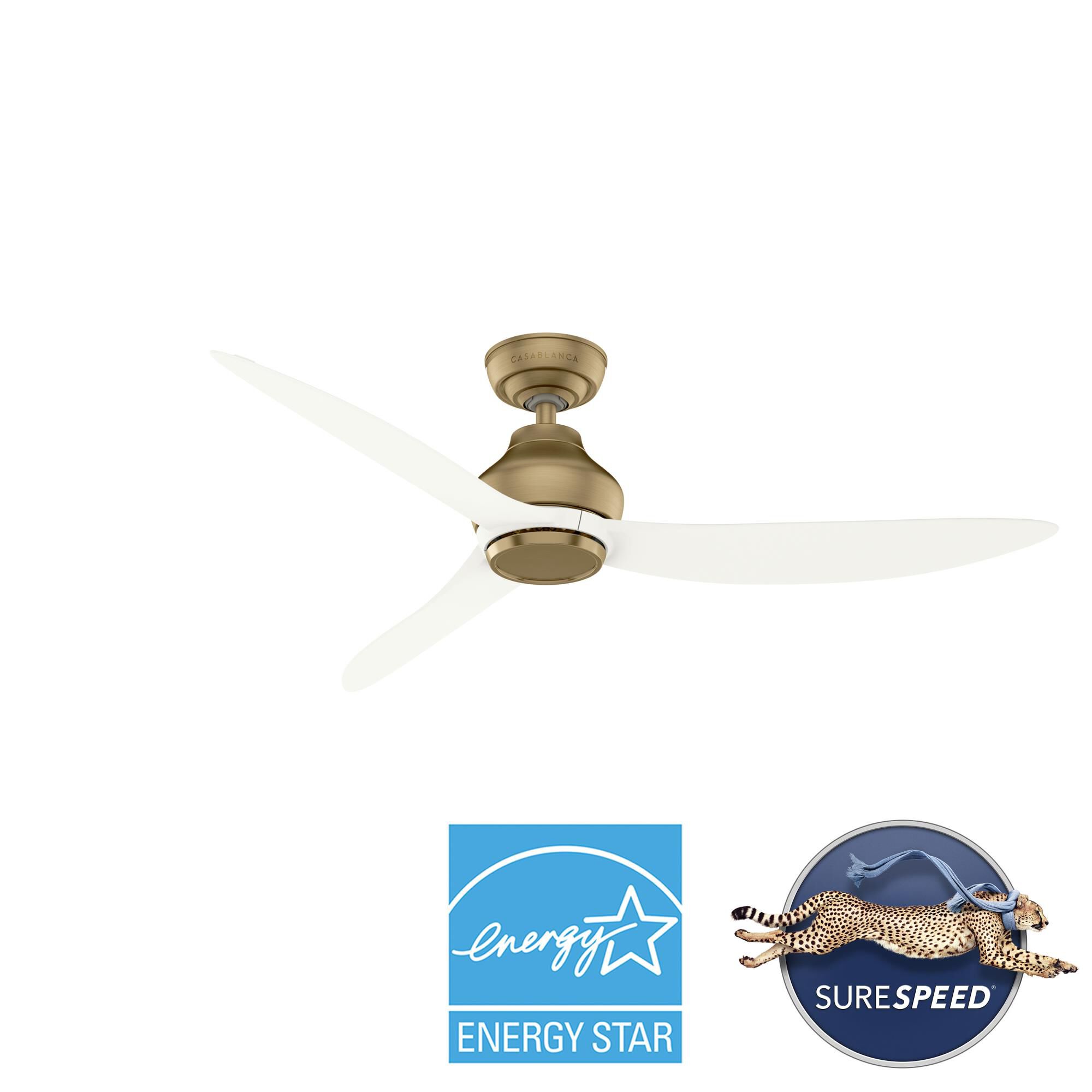 Eyla 52 Inch Ceiling Fan by Casablanca Fan Company