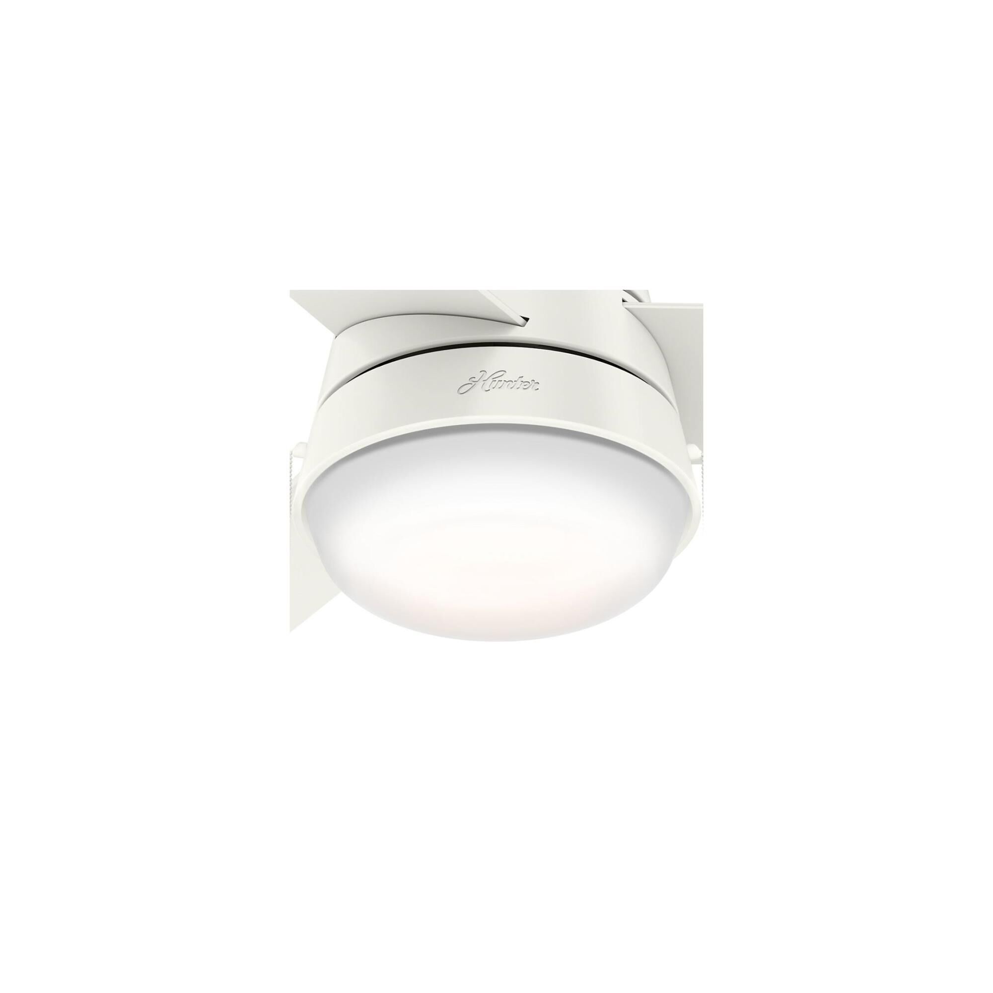 Aker 36 Inch Ceiling Fan with Light Kit by Hunter Fan