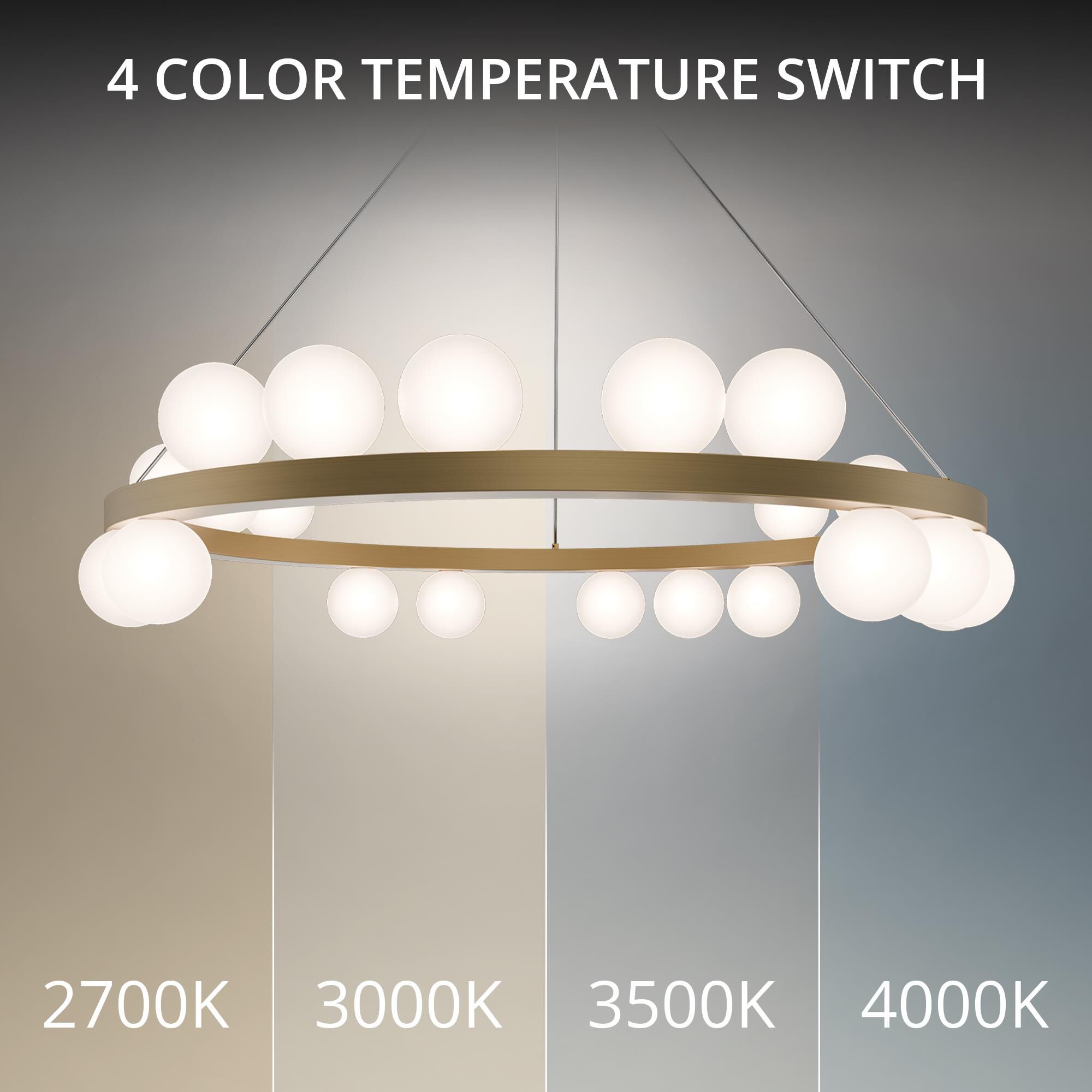 Carousel 28 Inch Chandelier by dweLED