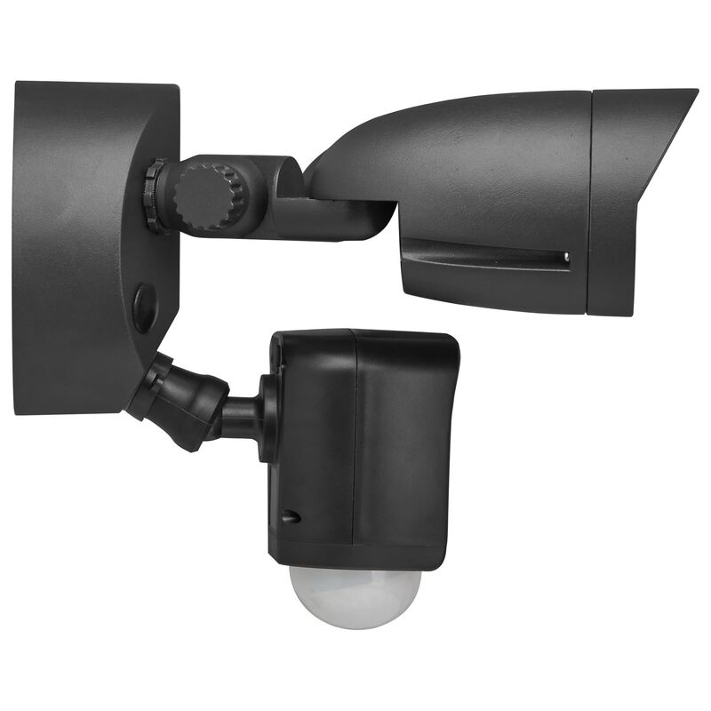 Starfish 8 Inch Outdoor Flood Light by Nuvo Lighting