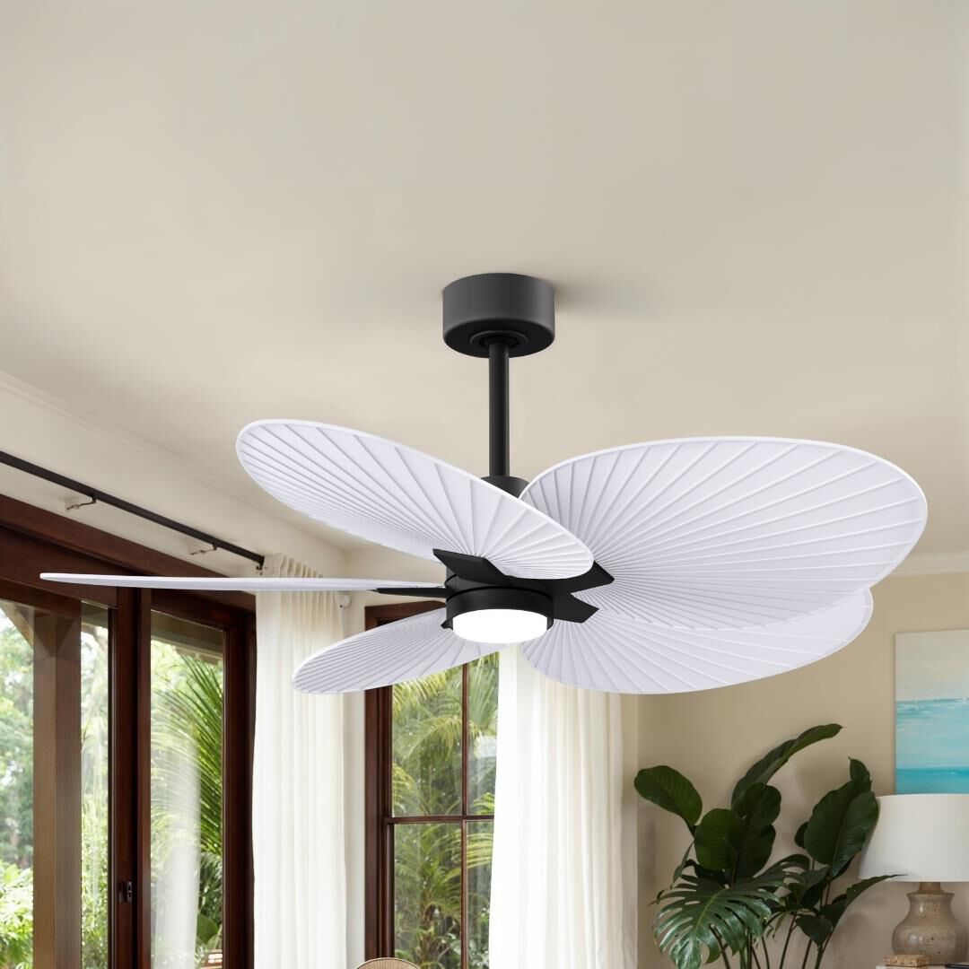 Alessandra Tropical Outdoor Rated 48 Inch Ceiling Fan with Light Kit by Matthews Fan Company