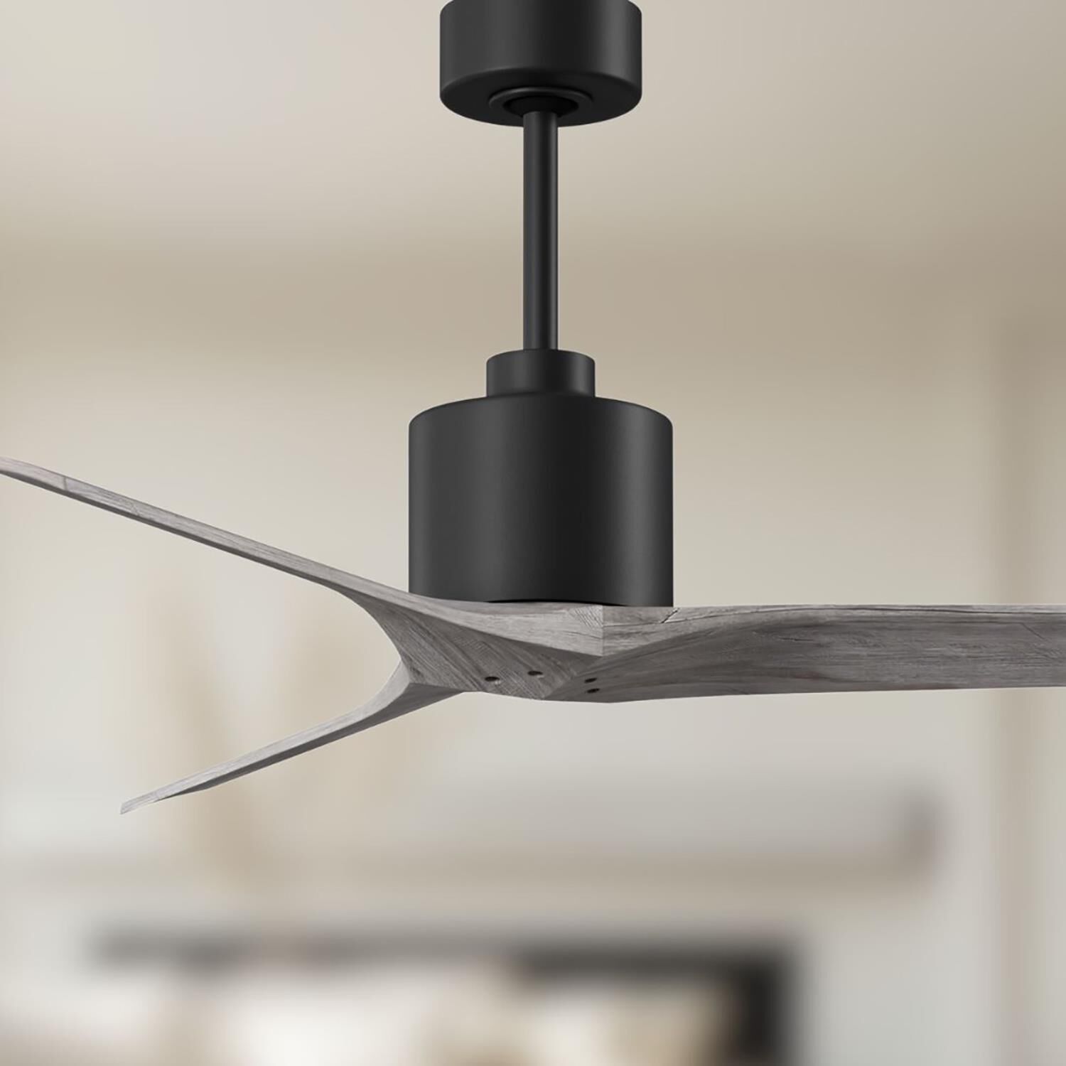 Mollywood 52 Inch Ceiling Fan by Matthews Fan Company