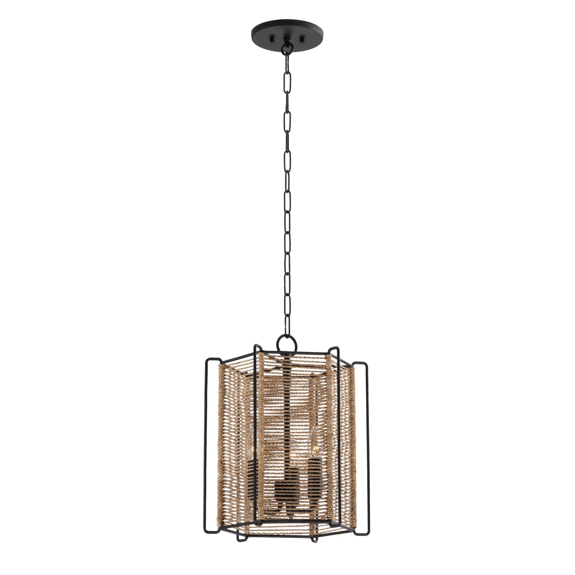 Ramon 13 Inch Large Pendant by Troy Lighting