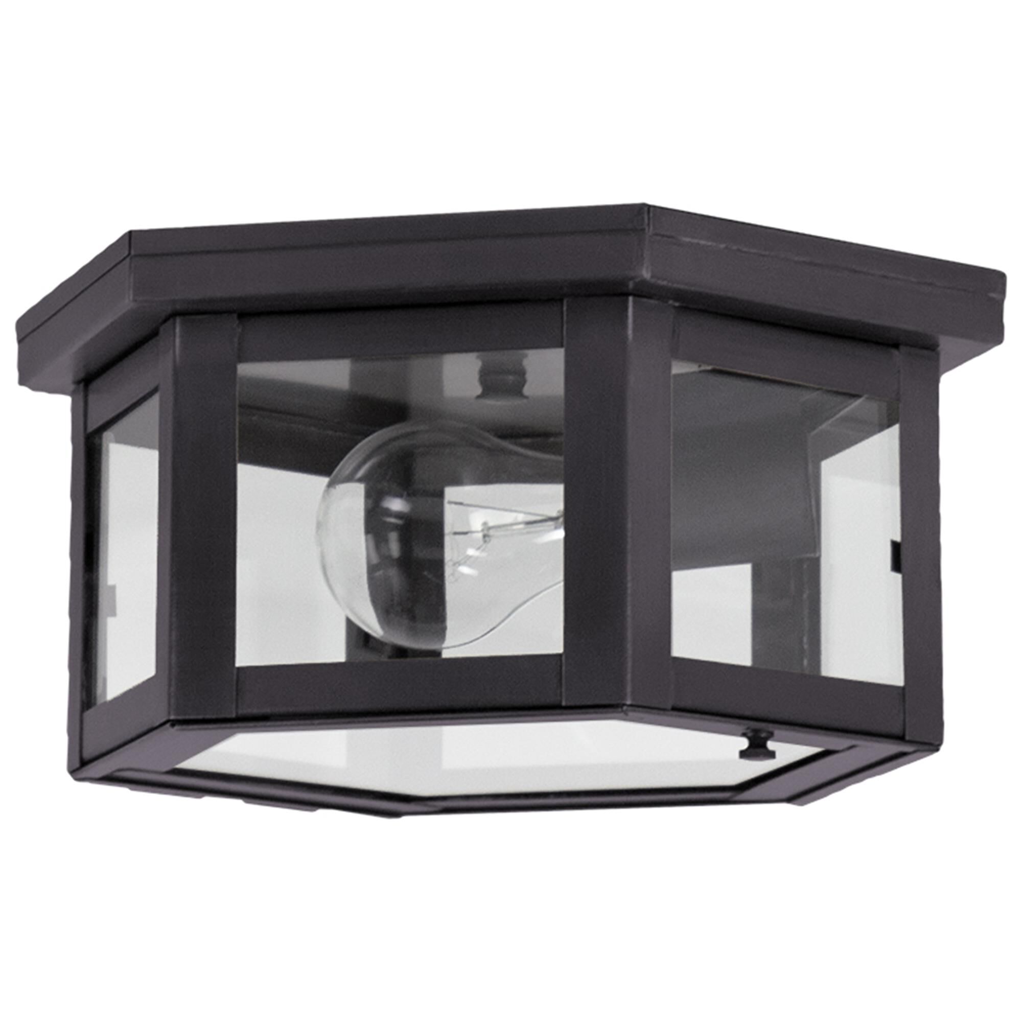 Williams 10 Inch Outdoor Flush Mount,