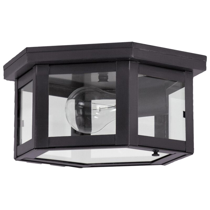 Williams 10 Inch Outdoor Flush Mount by Northeast Lantern