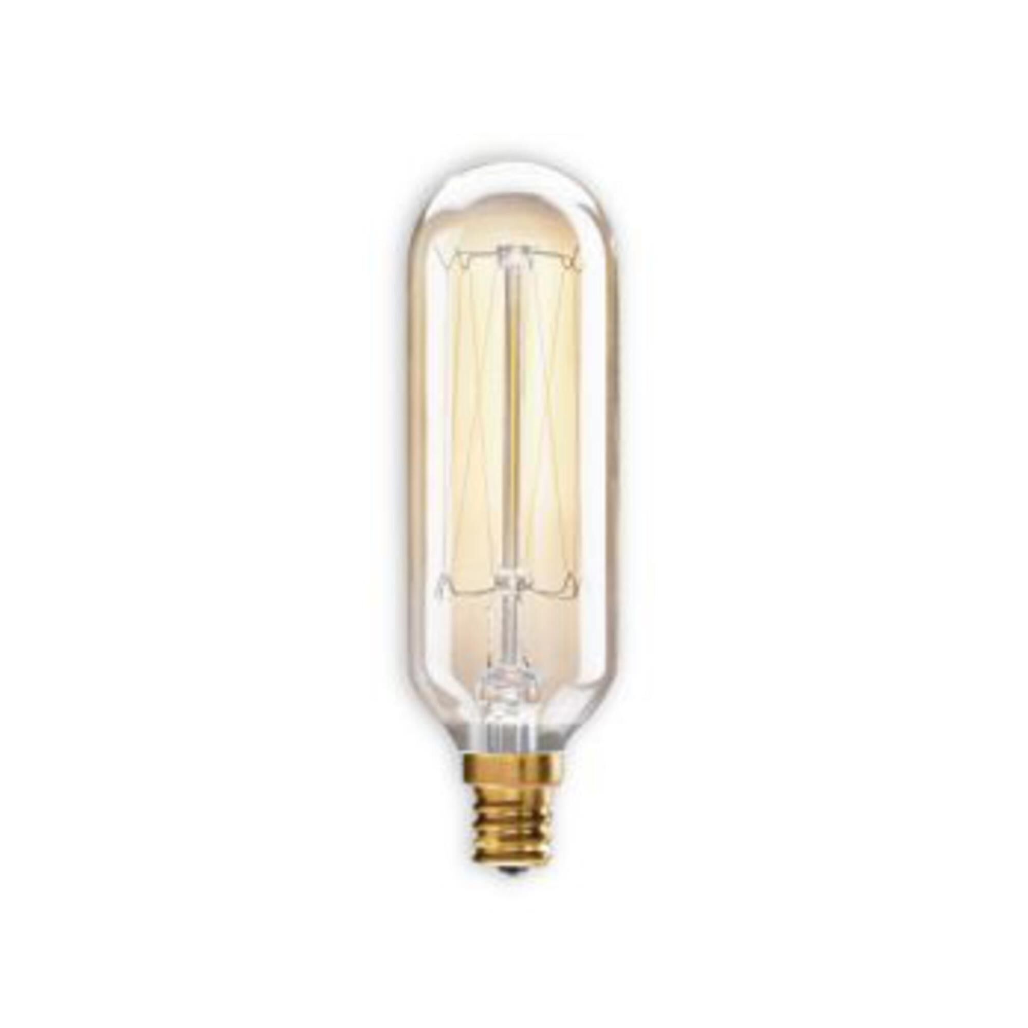40 Watt 2200K Incandescent Light Bulb,