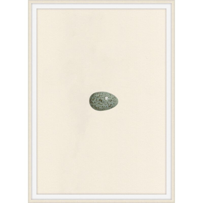 Unhatched Print by Level57