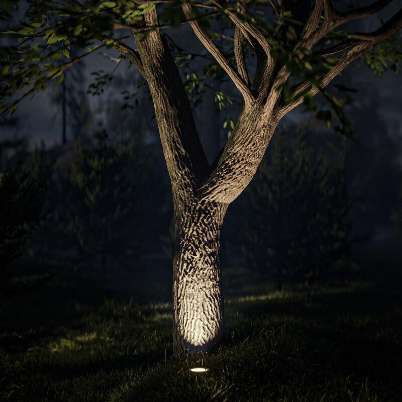 Colorscaping Decorative Pathway Light by WAC Lighting