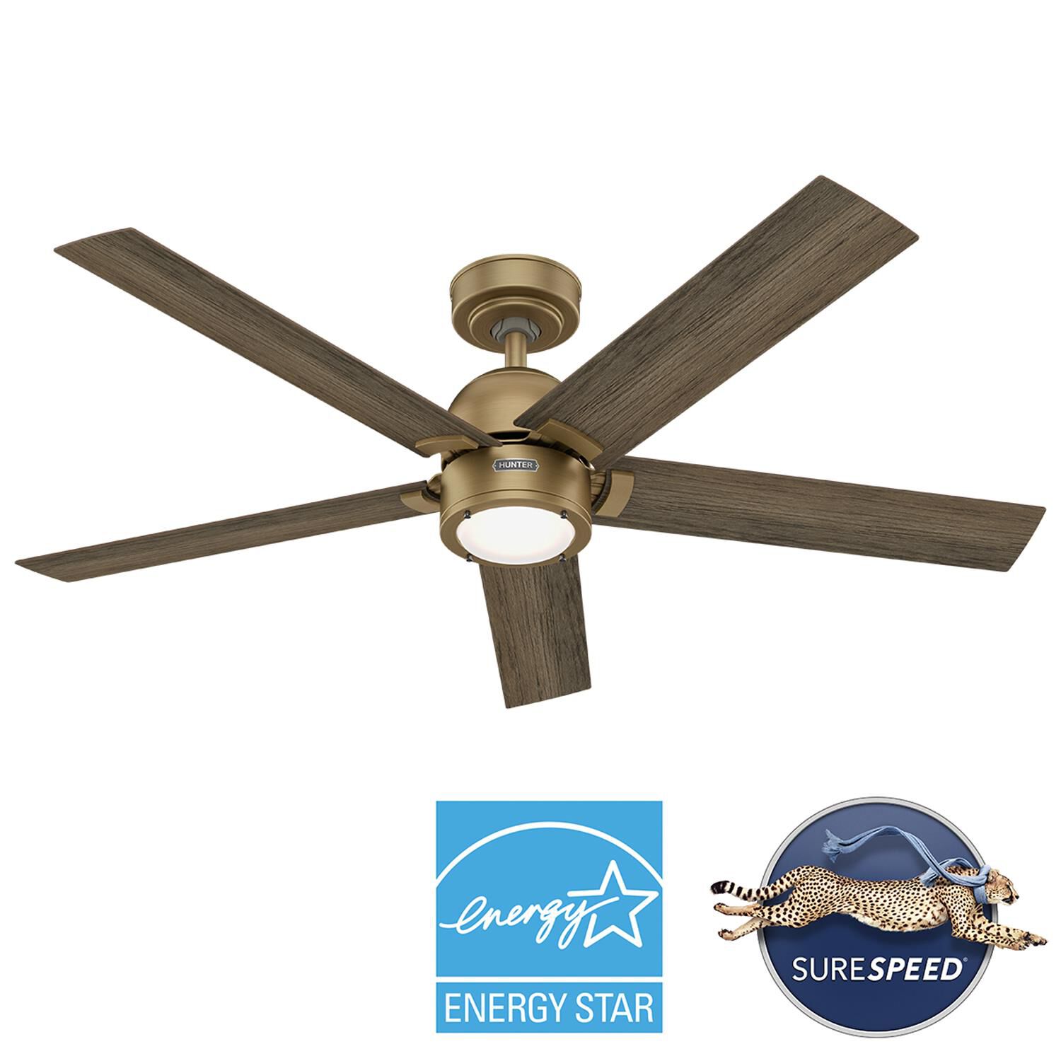 Hunter Fan Erling Ceiling Fan - Thumbnail 5
