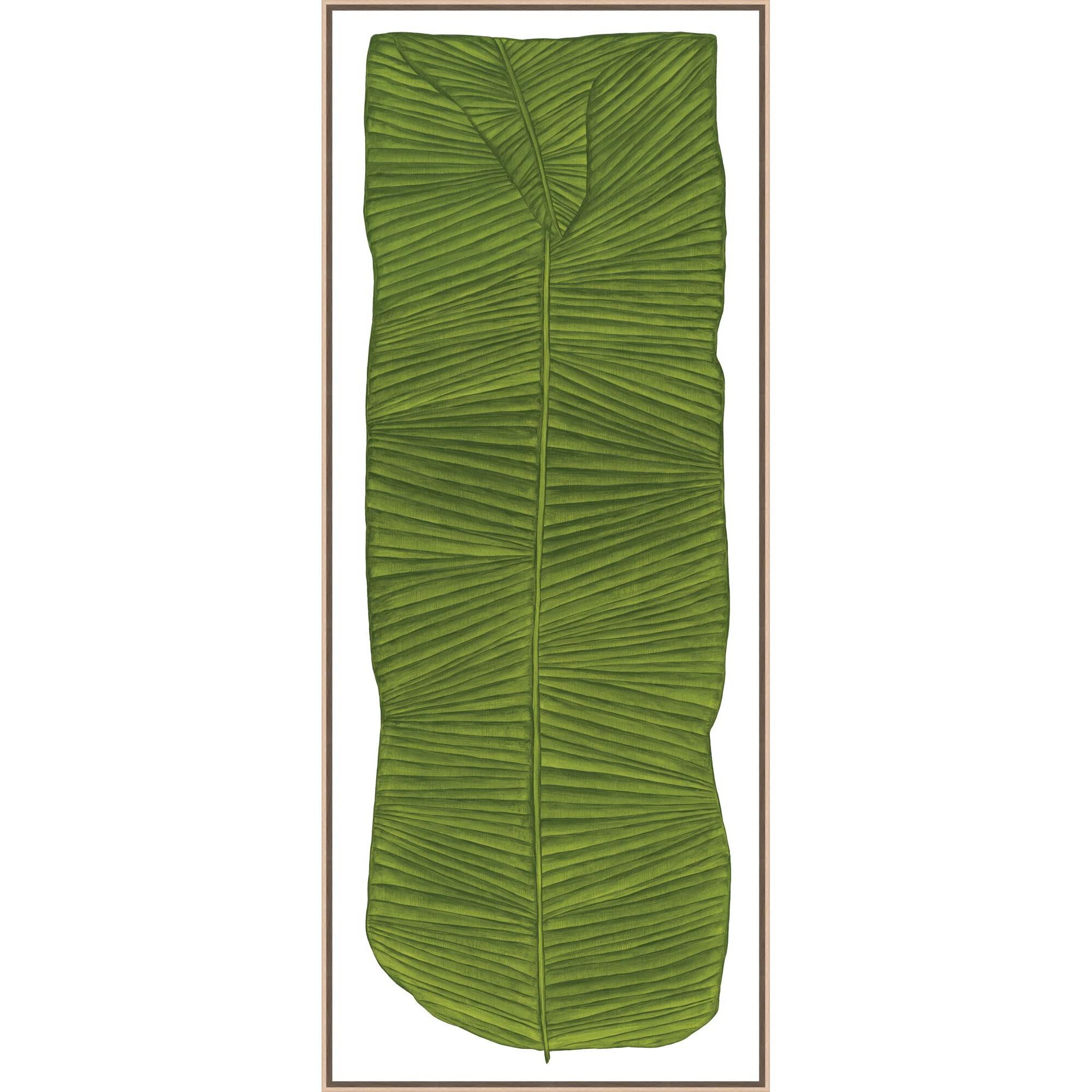 Marianne Hendriks Botanicus Fronde Print by LEVEL57