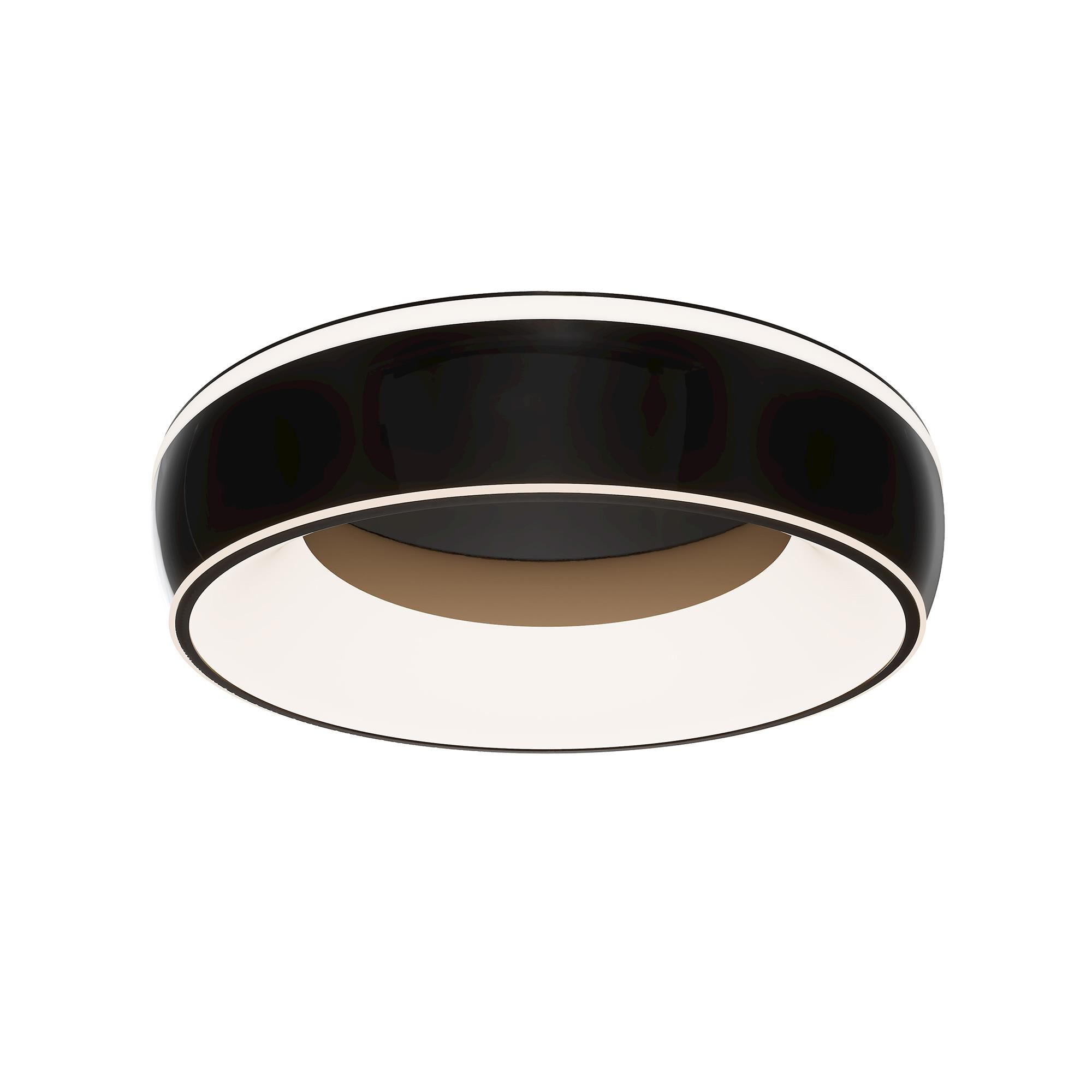 Ringwall 19 Inch Flush Mount by dweLED