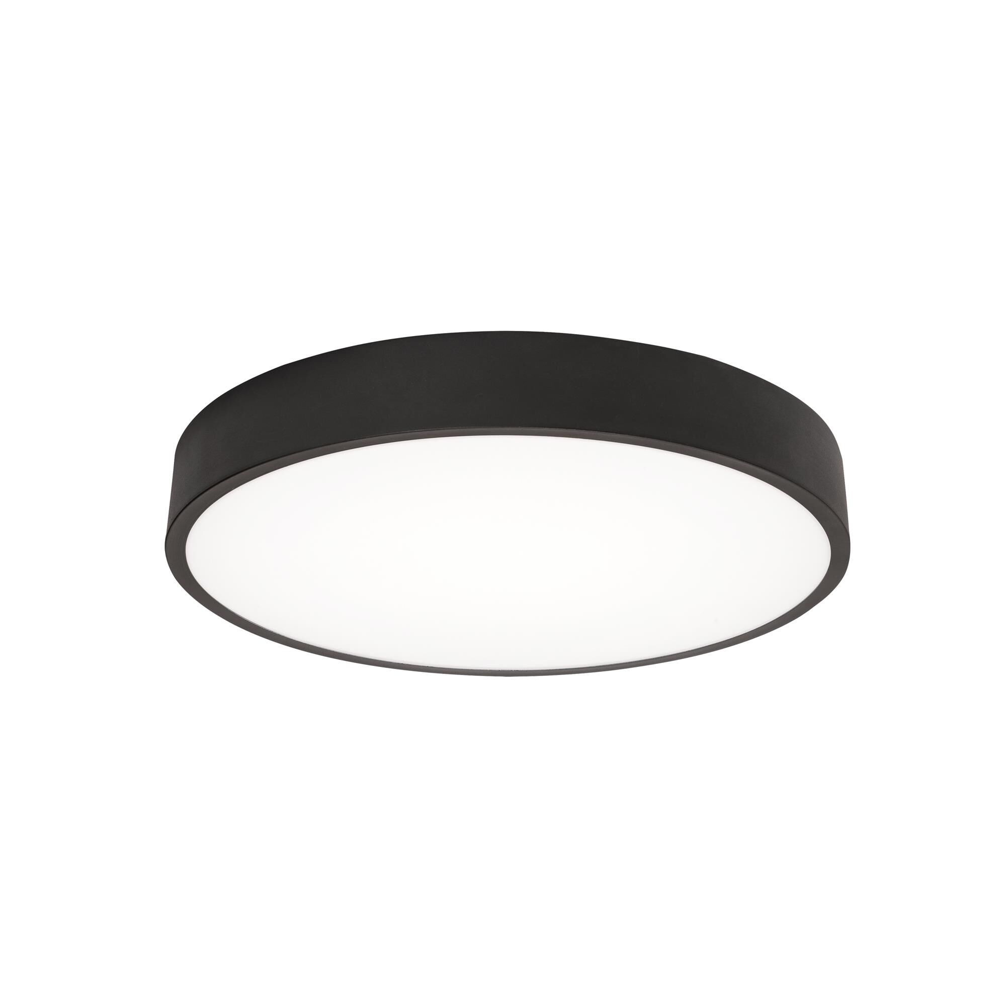 Shown in Black finish and Frosted glass
