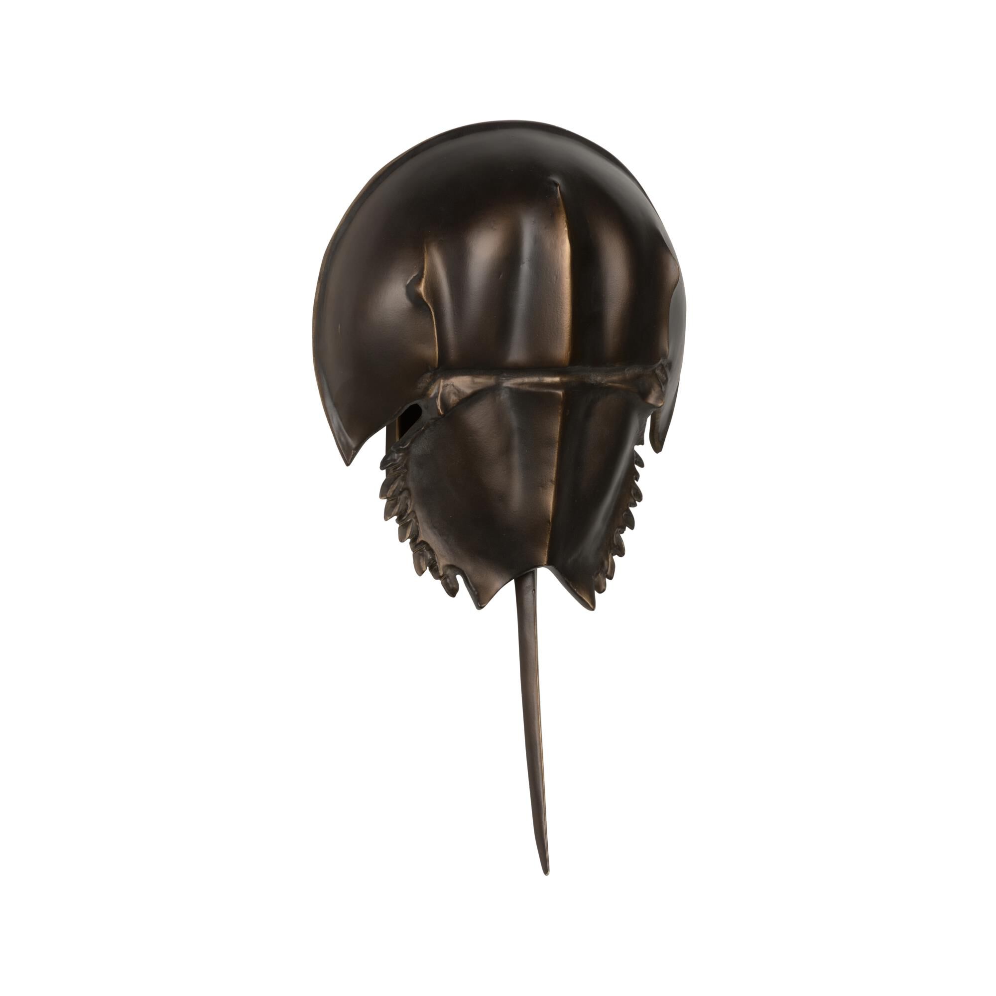 Horseshoe Crab 16 Inch Wall Sconce by Chelsea House